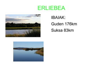 ERLIEBEA
IBAIAK:
Guden 176km
Suksa 83km
 