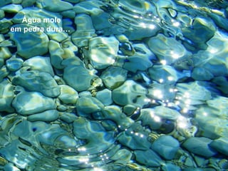 Água mole
em pedra dura…
 