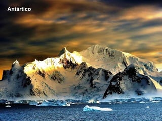 Antártico
 