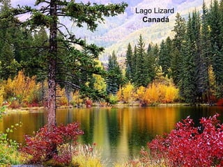 Lago Lizard
  Canadá
 
