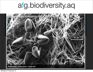 afg.biodiversity.aq




Monday 27 February 12
 