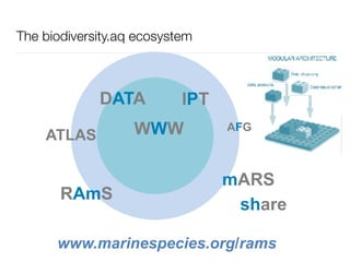 WWW
DATA
AFG
mARS
ATLAS
IPT
share
www.marinespecies.org/rams
RAmS
The biodiversity.aq ecosystem
 