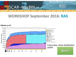 WORKSHOP	September	2016:	RAS
Future Idea: online identification
guides
 