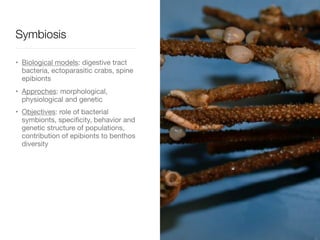 • Biological models: digestive tract
bacteria, ectoparasitic crabs, spine
epibionts

• Approches: morphological,
physiological and genetic

• Objectives: role of bacterial
symbionts, specificity, behavior and
genetic structure of populations,
contribution of epibionts to benthos
diversity
Symbiosis
 