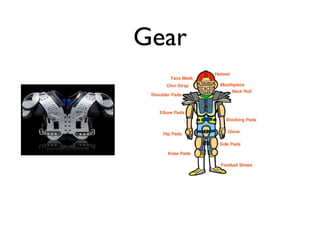 Gear
 
