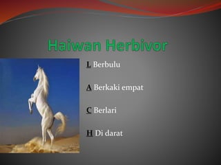 L Berbulu
A Berkaki empat
C Berlari
H Di darat
 