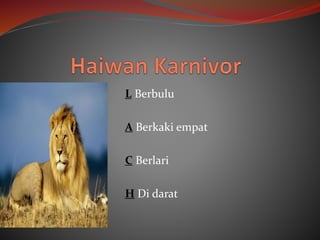 L Berbulu
A Berkaki empat
C Berlari
H Di darat
 