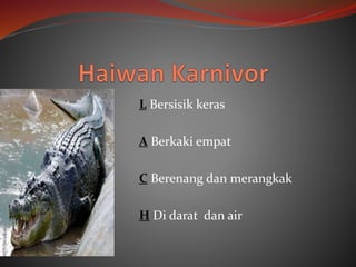 L Bersisik keras
A Berkaki empat
C Berenang dan merangkak
H Di darat dan air
 