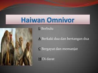 L Berbulu
A Berkaki dua dan bertangan dua
C Bergayut dan memanjat
H Di darat
 