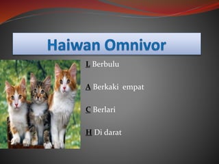 L Berbulu
A Berkaki empat
C Berlari
H Di darat
 