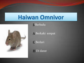 L Berbulu
A Berkaki empat
C Berlari
H Di darat
 