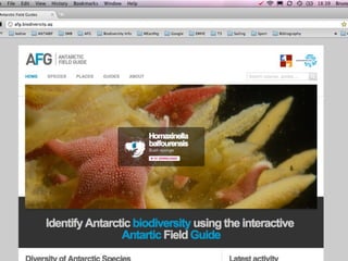 Antarctic Field Guides
 