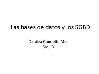 Las bases de datos y los SGBD

      Danitza Gandolfo Muic
             5to “B”
 