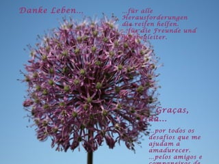 Danke Leben… … für alle Herausforderungen die reifen helfen. … für die Freunde und Wegbegleiter. Graças, Vida... … por todos os desafios que me ajudam a amadurecer. … pelos amigos e companeiros de caminhada. 