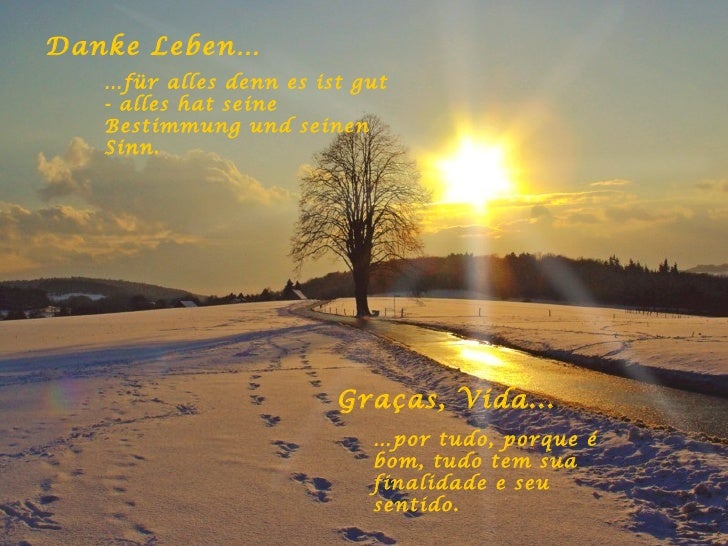 Danke leben