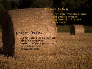 Danke Leben… … für den Weitblick  und den geistig weiten Horizont bis hin zur Erkenntnis. Graças, Vida... … por uma visão e por um amplo horizonte espiritual (que permite ver) além do conhecimento. 