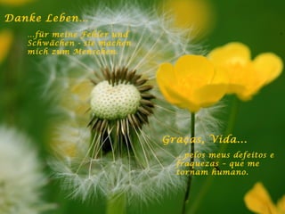 Danke Leben… … für meine Fehler und Schwächen - sie machen mich zum Menschen. Graças, Vida... … pelos meus defeitos e fraquezas – que me tornam humano. 