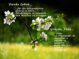 Danke Leben… … für die Gelegenheiten Geduld zu üben, Erfahrungen zu sammeln und Weisheit zu erlangen. Graças, Vida... … pelas oportunidades de exercitar a paciência, adquirir experiência e ganhar sabedoria. 