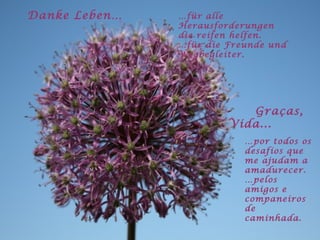 Danke Leben… … für alle Herausforderungen die reifen helfen. … für die Freunde und Wegbegleiter. Graças, Vida... … por todos os desafios que me ajudam a amadurecer. … pelos amigos e companeiros de caminhada. 