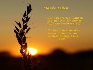 Danke Leben… … für den grossen Glauben in tiefer Not der immer Hoffnung bewahren hilft. … für den Schutzengel an meiner Seite der mir beisteht in Angst und Pein. 
