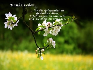 Danke Leben… … für die Gelegenheiten Geduld zu üben, Erfahrungen zu sammeln und Weisheit zu erlangen. 