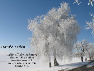 Danke Leben… … für all den Schmerz der mich zu dem machte was ich  heute bin – wer ich heute bin. 