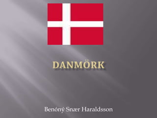 Danmörk Benóný Snær Haraldsson 