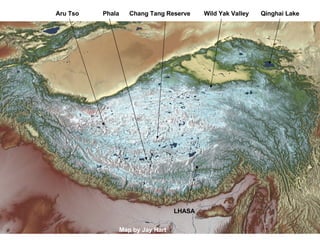 Map by Jay Hart Aru Tso  Phala  Chang Tang Reserve  Wild Yak Valley  Qinghai Lake LHASA 