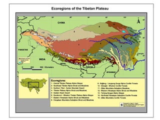 Ecoregions of the Tibetan Plateau 