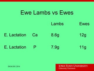 Ewe Lambs vs Ewes
Lambs Ewes
E. Lactation Ca 8.6g 12g
E. Lactation P 7.9g 11g
DGM:ISU:2016
 
