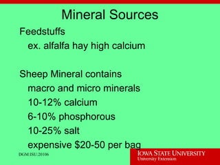 Mineral Sources
Feedstuffs
ex. alfalfa hay high calcium
Sheep Mineral contains
macro and micro minerals
10-12% calcium
6-10% phosphorous
10-25% salt
expensive $20-50 per bag
DGM:ISU:20106
 