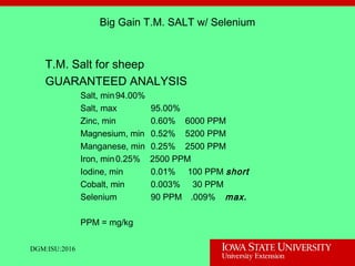 DGM:ISU:2016
Big Gain T.M. SALT w/ Selenium
T.M. Salt for sheep
GUARANTEED ANALYSIS
Salt, min94.00%
Salt, max 95.00%
Zinc, min 0.60% 6000 PPM
Magnesium, min 0.52% 5200 PPM
Manganese, min 0.25% 2500 PPM
Iron, min0.25% 2500 PPM
Iodine, min 0.01% 100 PPM short
Cobalt, min 0.003% 30 PPM
Selenium 90 PPM .009% max.
PPM = mg/kg
 