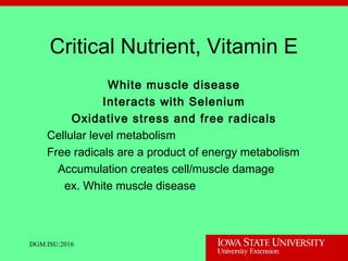 Critical Nutrient, Vitamin E
White muscle disease
Interacts with Selenium
Oxidative stress and free radicals
Cellular level metabolism
Free radicals are a product of energy metabolism
Accumulation creates cell/muscle damage
ex. White muscle disease
DGM:ISU:2016
 
