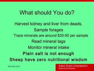 What should You do?
Harvest kidney and liver from deads.
Sample forages
Trace minerals are around $35-50 per sample
Read mineral tags
Monitor mineral intake
Plain salt is not enough
Sheep have zero nutritional wisdom
DGM:ISU:2016
 