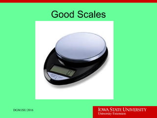 Good Scales
DGM:ISU:2016
 