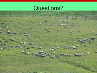 Questions?
DGM:ISU:2007
 