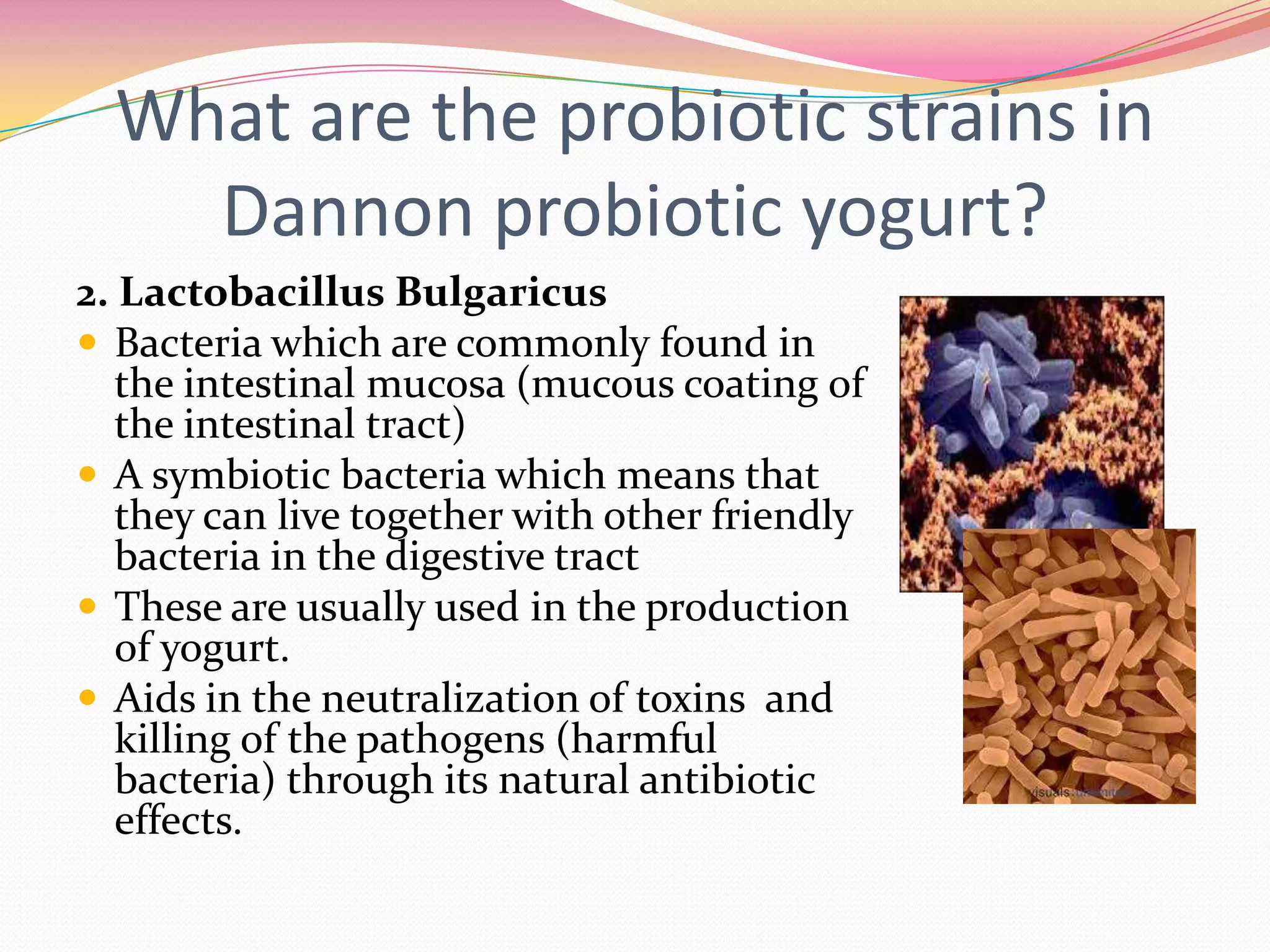 What are the probiotic strains in
Dannon probiotic yogurt?
2. Lactobacillus Bulgaricus
 Bacteria which are commonly found in
the intestinal mucosa (mucous coating of
the intestinal tract)
 A symbiotic bacteria which means that
they can live together with other friendly
bacteria in the digestive tract
 These are usually used in the production
of yogurt.
 Aids in the neutralization of toxins and
killing of the pathogens (harmful
bacteria) through its natural antibiotic
effects.
 
