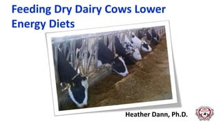 Feeding Dry Dairy Cows Lower
Energy Diets
Heather Dann, Ph.D.
 