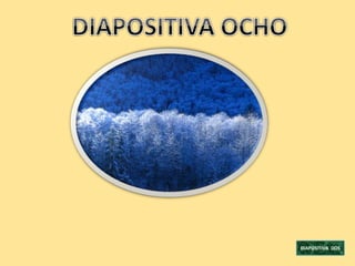 DIAPOSITIVA DOS
 