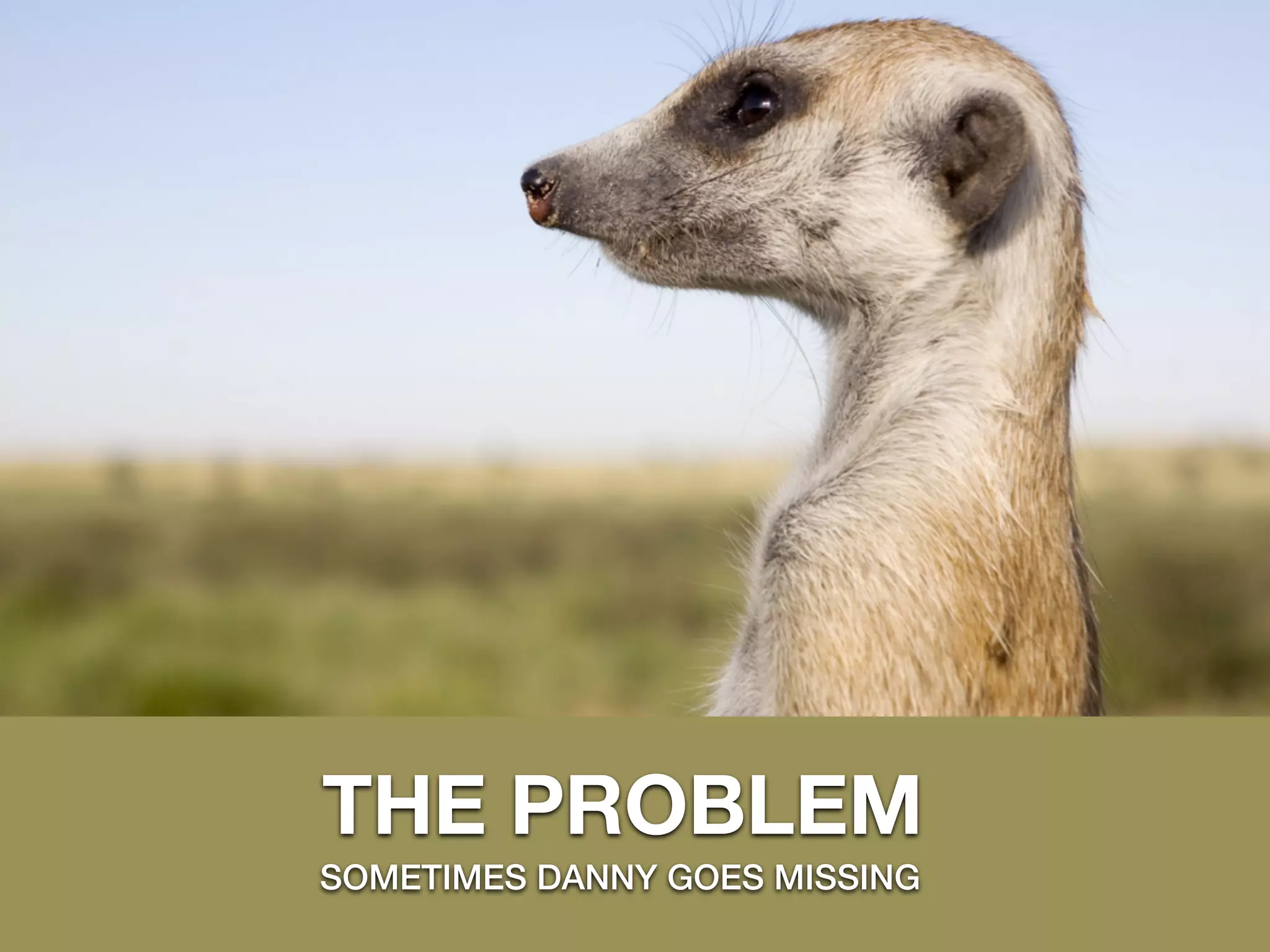 THE PROBLEM
SOMETIMES DANNY GOES MISSING