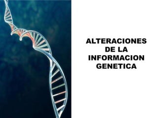 ALTERACIONES
DE LA
INFORMACION
GENETICA
 
