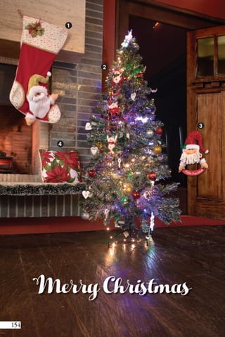 Danny Campañas 14-15 / 2018