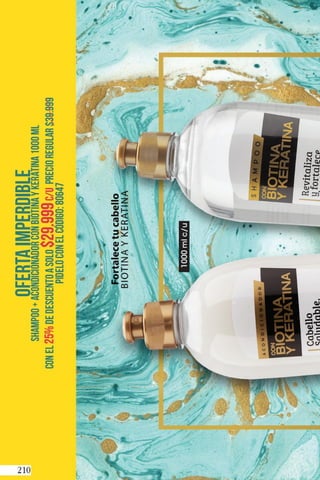 Danny Campañas 14-15 / 2018