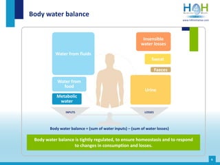 INPUTS LOSSES
Body water balance
6
Urine
Faeces
Sweat
Insensible
water losses
Water from fluids
Water from
food
Metabolic
water
Body water balance = (sum of water inputs) – (sum of water losses)
Body water balance is tightly regulated, to ensure homeostasis and to respond
to changes in consumption and losses.
www.h4hinitiative.com
 