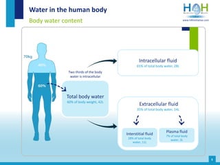 Extracellular fluid
35% of total body water, 14L
Intracellular fluid
65% of total body water, 28L
Interstitial fluid
28% o...