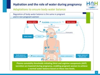Hydration in pregnancy and breastfeeding | PPTX