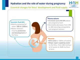 5
Hydration and the role of water during pregnancy
Essential changes for fetus’ development and fluid supply www.h4hinitia...