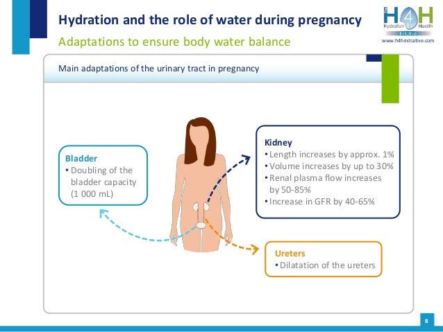 Hydration and urinary tract infection