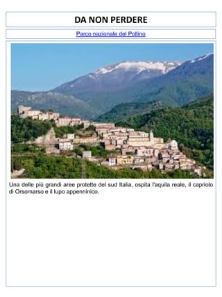 DA NON PERDERE
Parco nazionale del Pollino

Una delle più grandi aree protette del sud Italia, ospita l'aquila reale, il capriolo
di Orsomarso e il lupo appenninico.

 