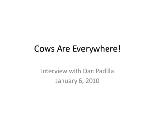 Cows Are Everywhere! Interview with Dan Padilla January 6, 2010 